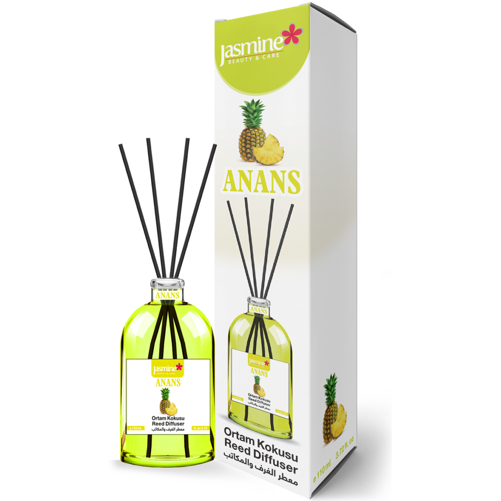 ANANAS-1024x1024
